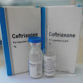 Ceftriaxon 500mg 5ml